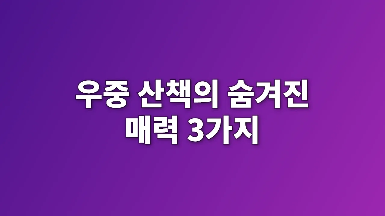 우중 산책의 숨겨진 매력 3가지